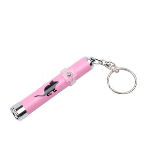 1pcs Aluminum animation mouse laser pointer pen LED Laser Pointer light Pen Pet Cat Dog Toys